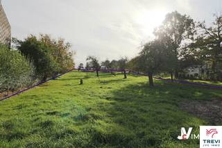 Grond te koop in Oerle