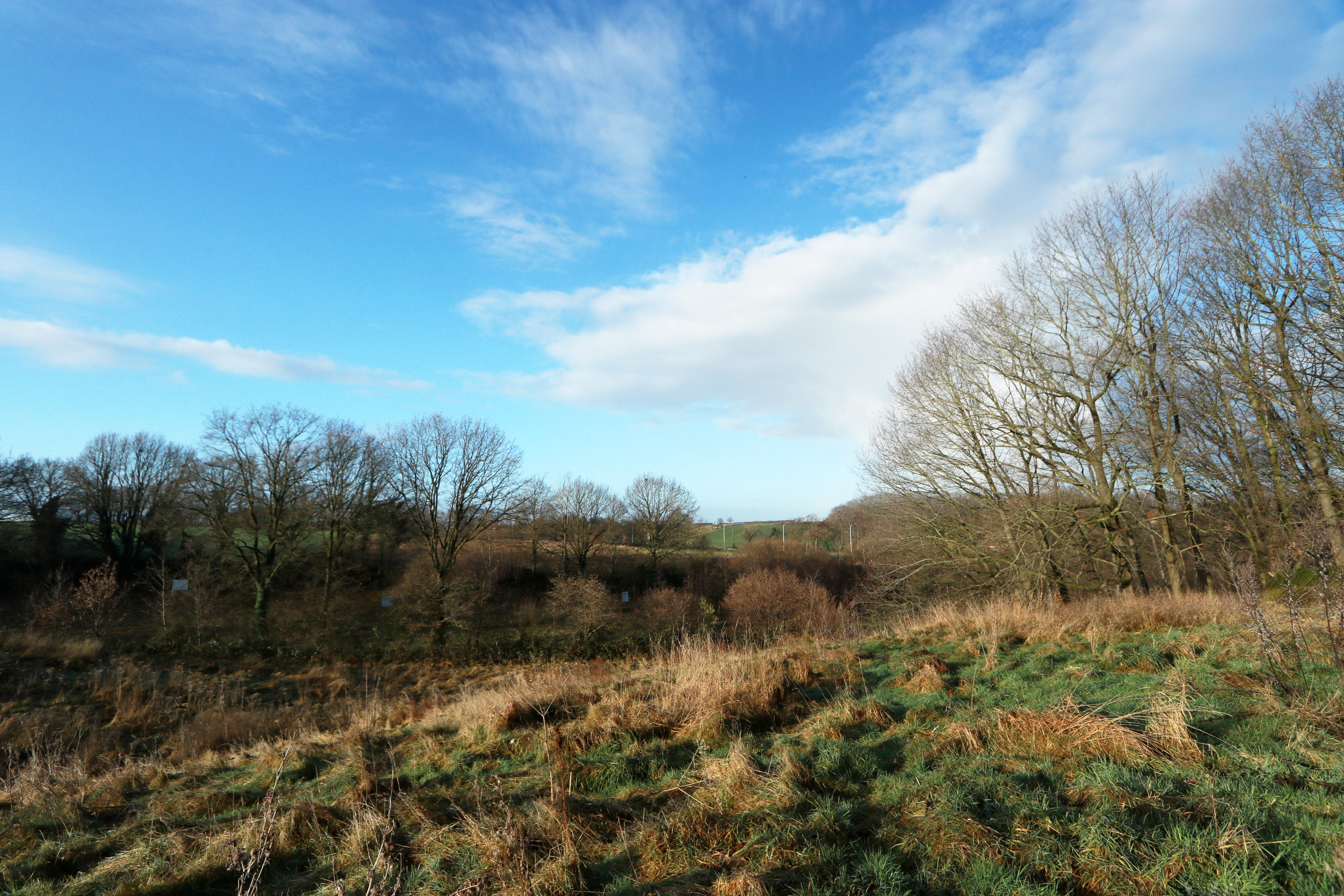 Terrain à vendre à Tielt-Winge - photo 5