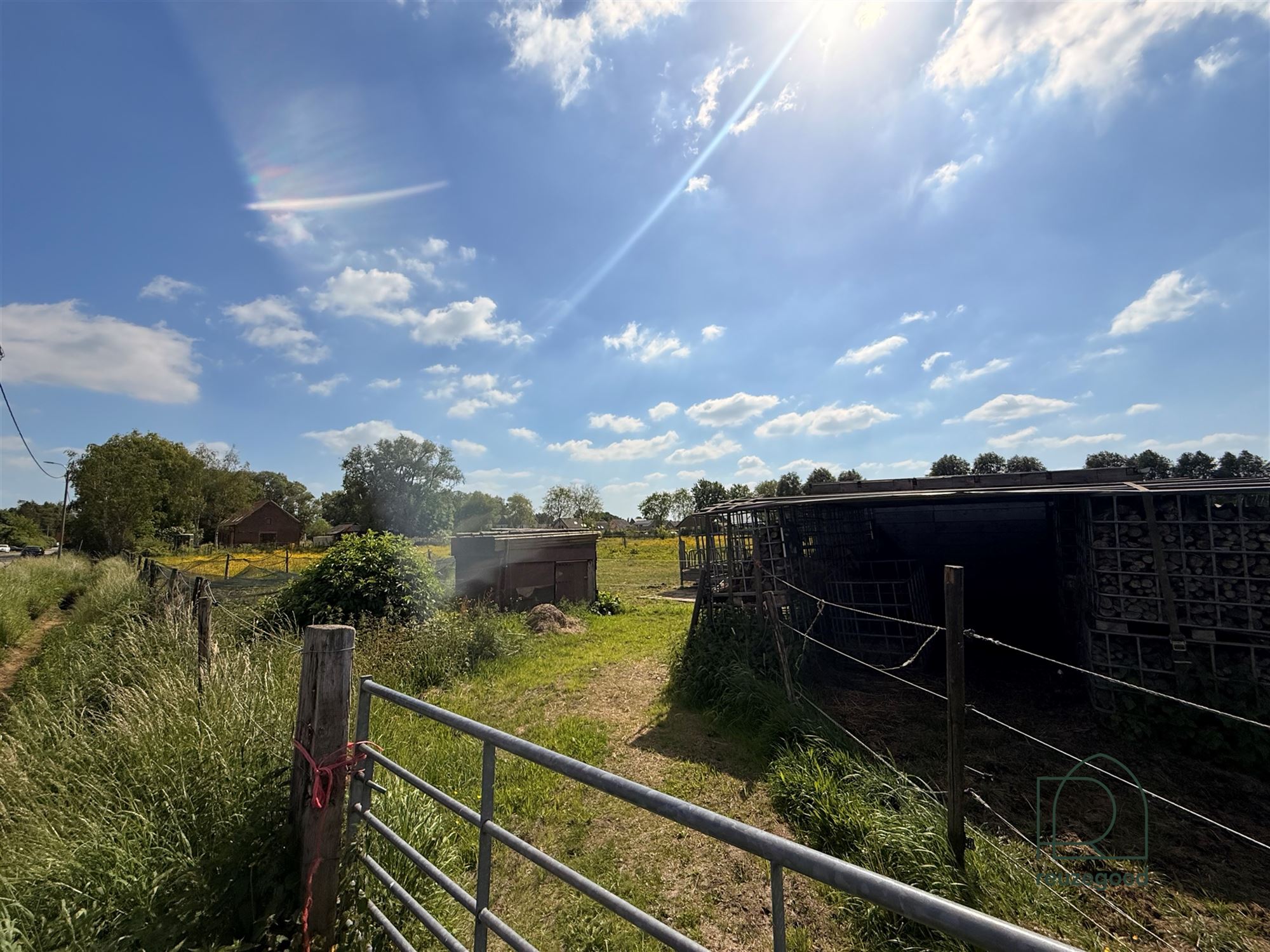 Landbouwgrond in Boortmeerbeek - paardenweide - 2,5 ha - foto 5