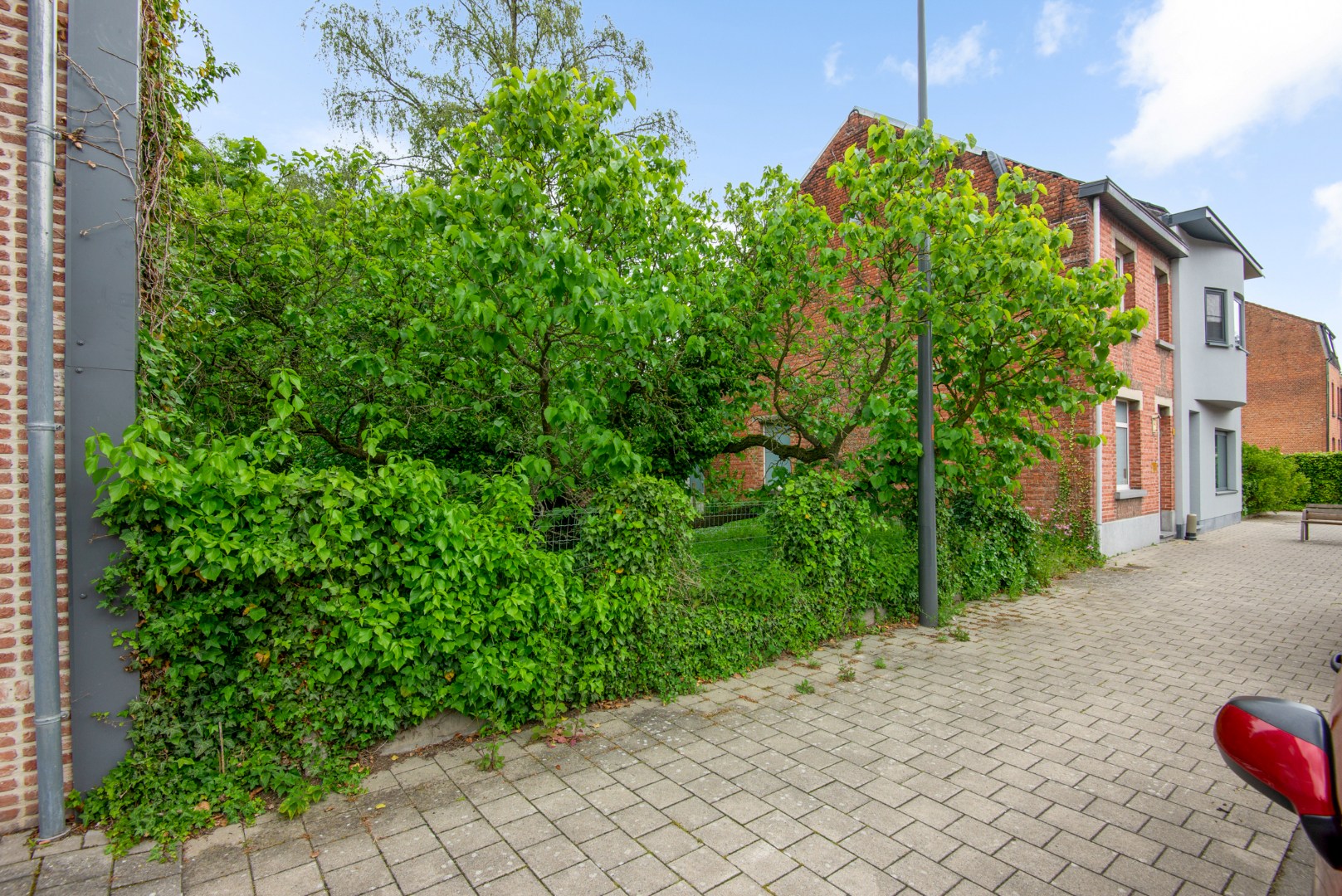 Te renoveren woning met veel potentieel op rustige ligging in Puurs-Sint-Amands! - foto 4