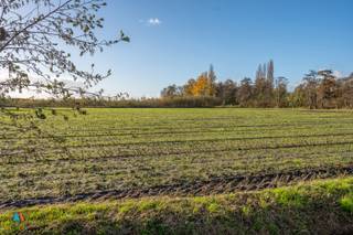 Mooi gelegen perceel landbouwgrond van 1ha 20a 10ca te Kalmthout langs Riethoek, "Nieuwmoersche Heyde"Kadaster: KALMTHOUT/2 AFD, Sectie C, Perceel N°...