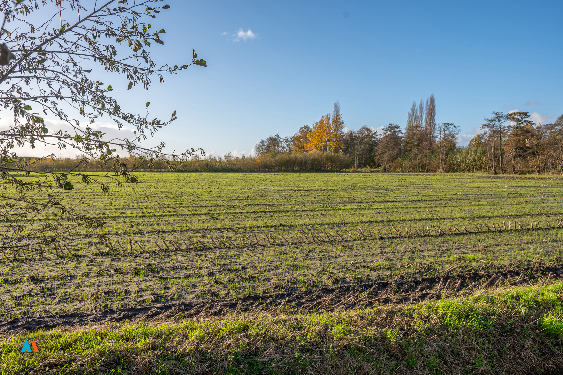 Perceel landbouwgrond - foto 1