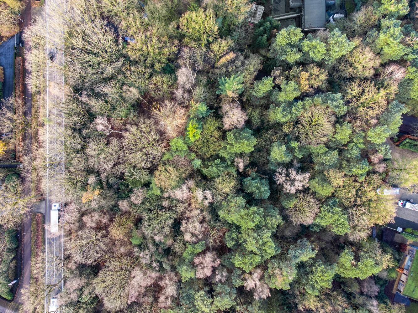 Exclusieve villagrond (+/- 5.000 m²) te Kapellen - foto 4