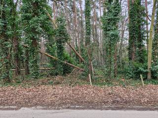 welgelegen bouwgrond, rustige villawijk te 3140 Keerbergen, 1513 m2, hogere prijsklasse, ben zelden telefonisch bereikbaar, sms of voicemail en ik neem contact 0496 98 55 79.