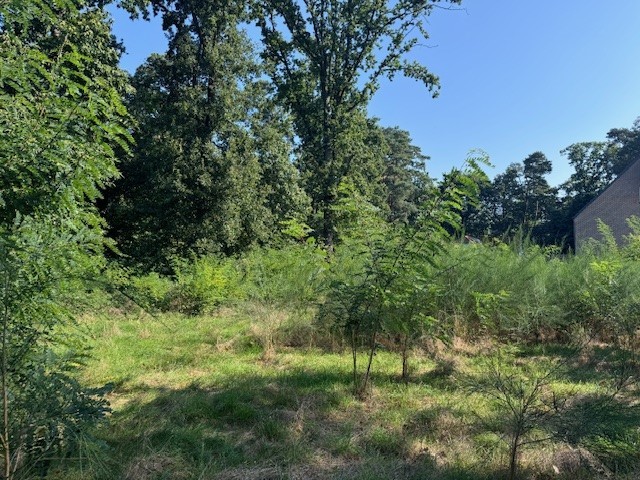 Villagrond van 17a 88ca geschikt voor open bebouwing - foto 2