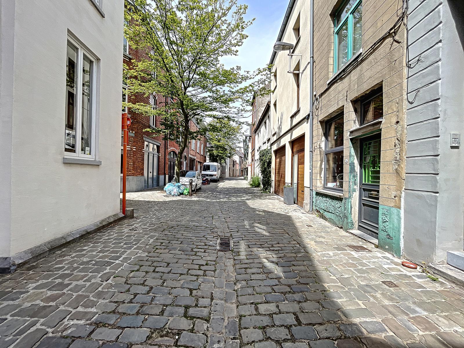 Authentieke woning met terras te huur in centrum Gent - foto 3