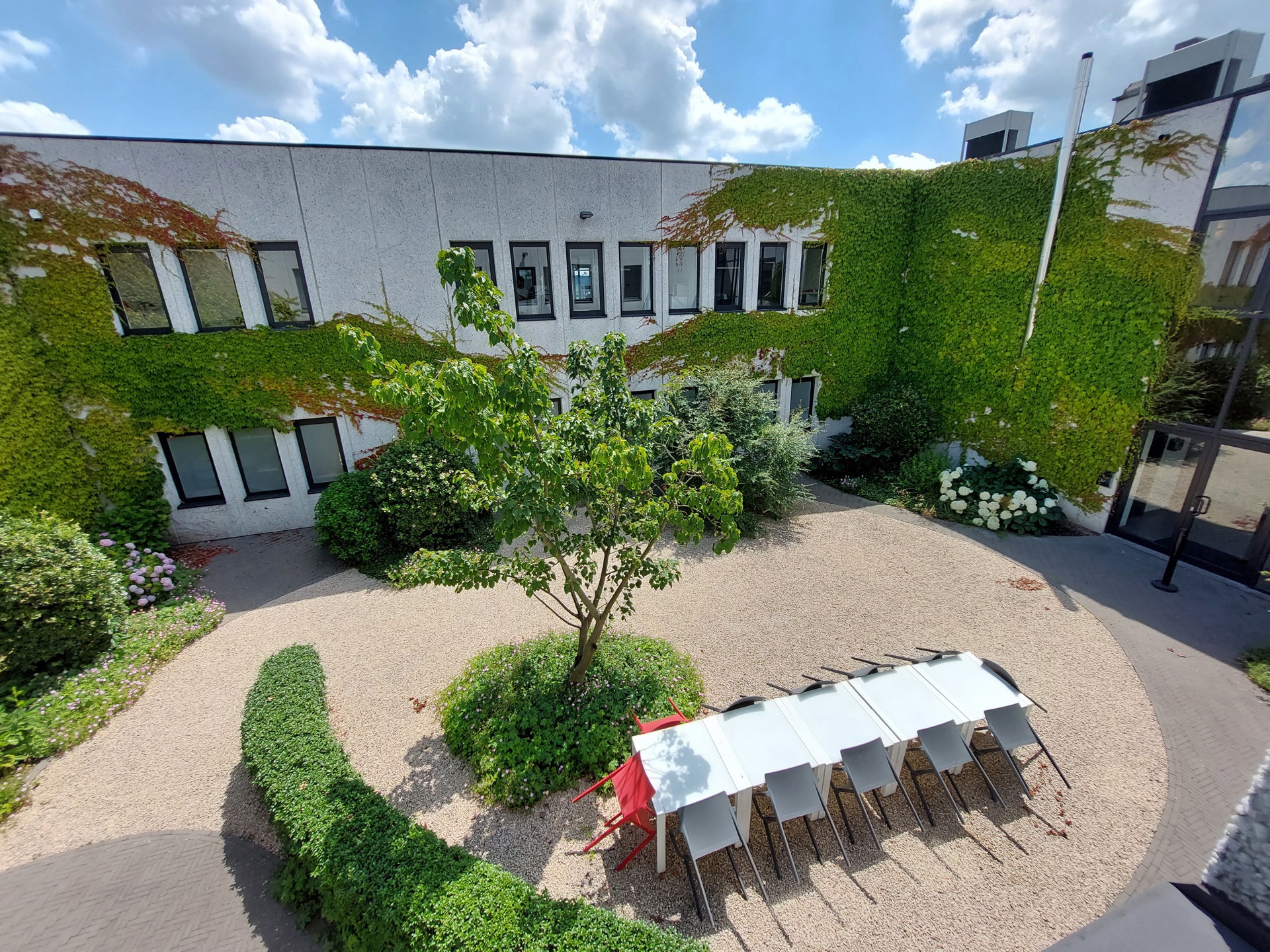 Commercial for sale in Asse - photo 4