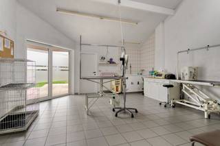 Uniek pand op een commerciële ligging te Wevelgem<br /><br />Ontdek deze unieke opportuniteit: een instapklare woning op een uitstekende commerciële ligging, perfect voor wie wonen en ondernemen wil combineren. Deze eigendom biedt niet alleen een volledig gerenoveerde en stijlvolle woonruimte, maar beschikt ook over een ruime toonzaal met grote raampartijen die zorgen voor maximale zichtbaarheid en natuurlijke lichtinval.<br />Indeling en troeven:<br />Moderne, lichtrijke leefruimte met open keuken<br />Meerdere slaapkamers en een eigentijdse badkamer<br />Professioneel ingerichte toonzaal of winkelruimte met aparte ingang<br /><br />Ideaal voor zelfstandigen, vrije beroepen of kangoeroewoning.<br /><br />De woning heeft de volgende indeling:
<ul>
<li>Aan gevelzijde enerzijds dubbele garage en anderzijds een winkelruimte van 52m²</li>
<li>Prachtige vernieuwde leefruimte met open keuken met een oppervlakte van 72m²</li>
<li>Afzonderlijk toilet met lavabo</li>
<li>Leef- praktijk- of slaapkamers 30m²</li>
<li>Wasplaats</li>
<li>Berging</li>
<li>Terras met een zeer ruime tuin van 350m²</li>
<li>Kelder</li>
</ul>
1<sup>STE</sup> VERDIEP:
<ul>
<li>Trap- en nachthal</li>
<li>Leidingen voorzien voor een 2<sup>de</sup> keuken</li>
<li>Grote badkamer met inloopdouche, lavabomeubel en toilet</li>
<li>3 ruime slaapkamers</li>
<li>Dressing</li>
</ul>
2<sup>DE</sup> VERDIEP/ZOLDER:
<ul>
<li>Vaste trap</li>
<li>3 extra slaapkamers</li>
<li>Grote geïsoleerde zolder voor 4 extra kamers</li>
</ul>
Divers: Instapklare gerenoveerde (in 2016)woning, met o.a.: splinternieuw dak, nieuwe elektriciteit, overal centrale verwarming met Viesman brander, overal nieuwe ramen met hoogrendementsglas (advanced glas).<br /><br />Gelegen op een strategische locatie met veel passage en visibiliteit. Dankzij de gunstige ligging zijn zowel het centrum, winkels, scholen als openbaar vervoer vlot bereikbaar.<br />Deze eigendom combineert het beste van twee werelden: comfortabel wonen én professioneel ondernemen, allemaal onder één dak.<br />Een unieke kans die je niet mag missen! Neem vandaag nog contact met ons op voor een bezoek.<br />