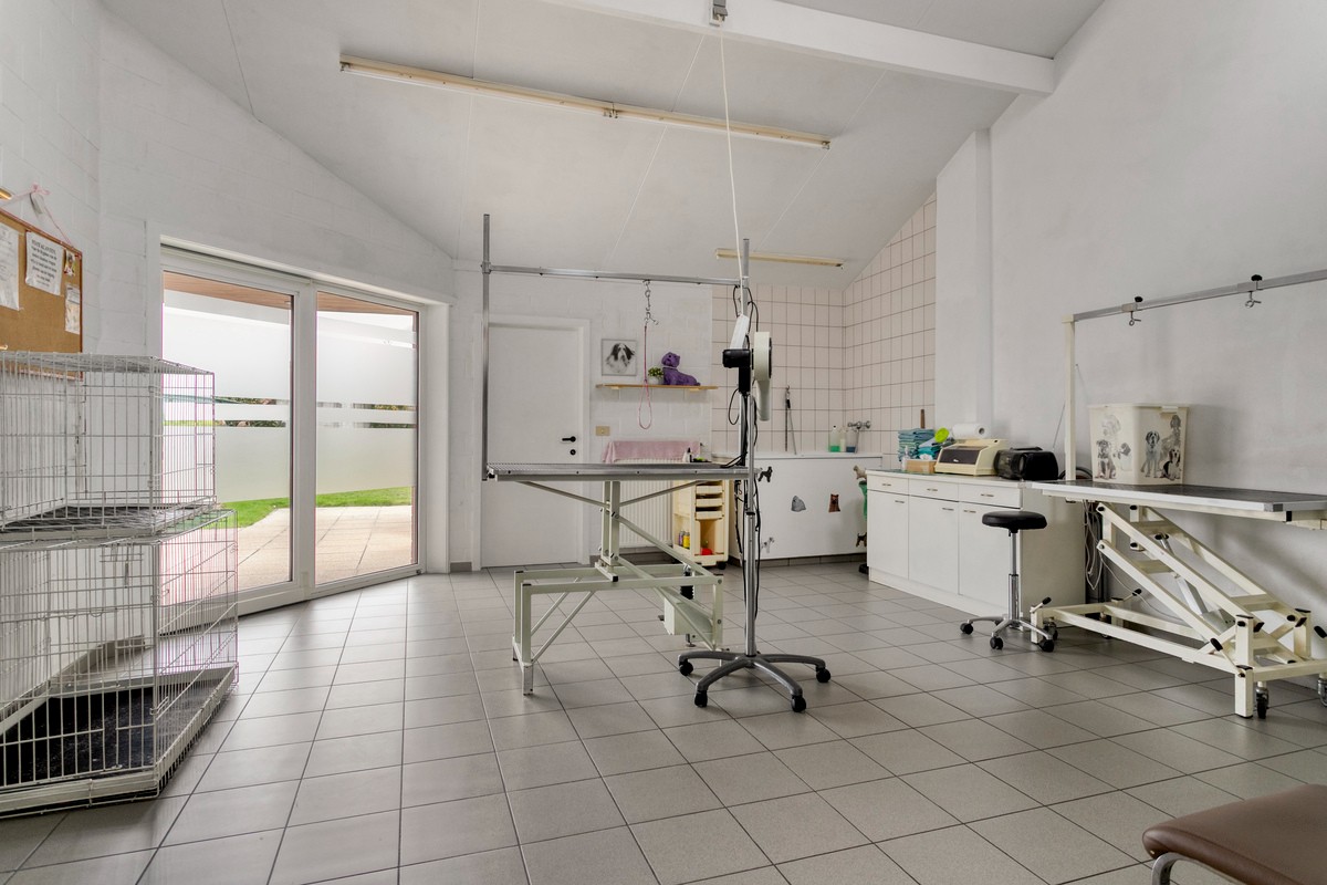 Handelspand + instapklare woning op commerciële ligging – ideaal voor wonen en werken! - photo 3