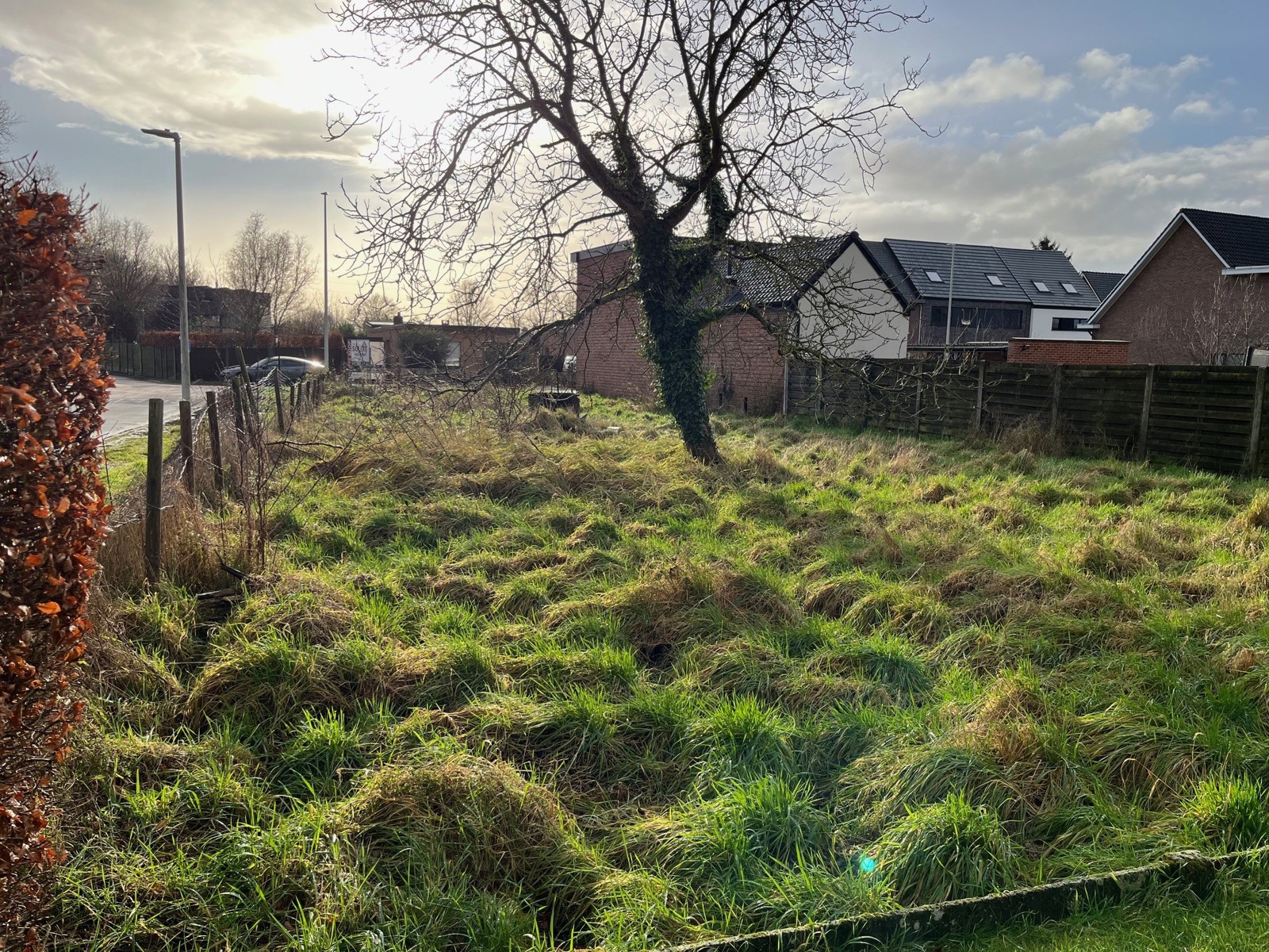 Rustig gelegen bouwgrond HOB  - foto 3