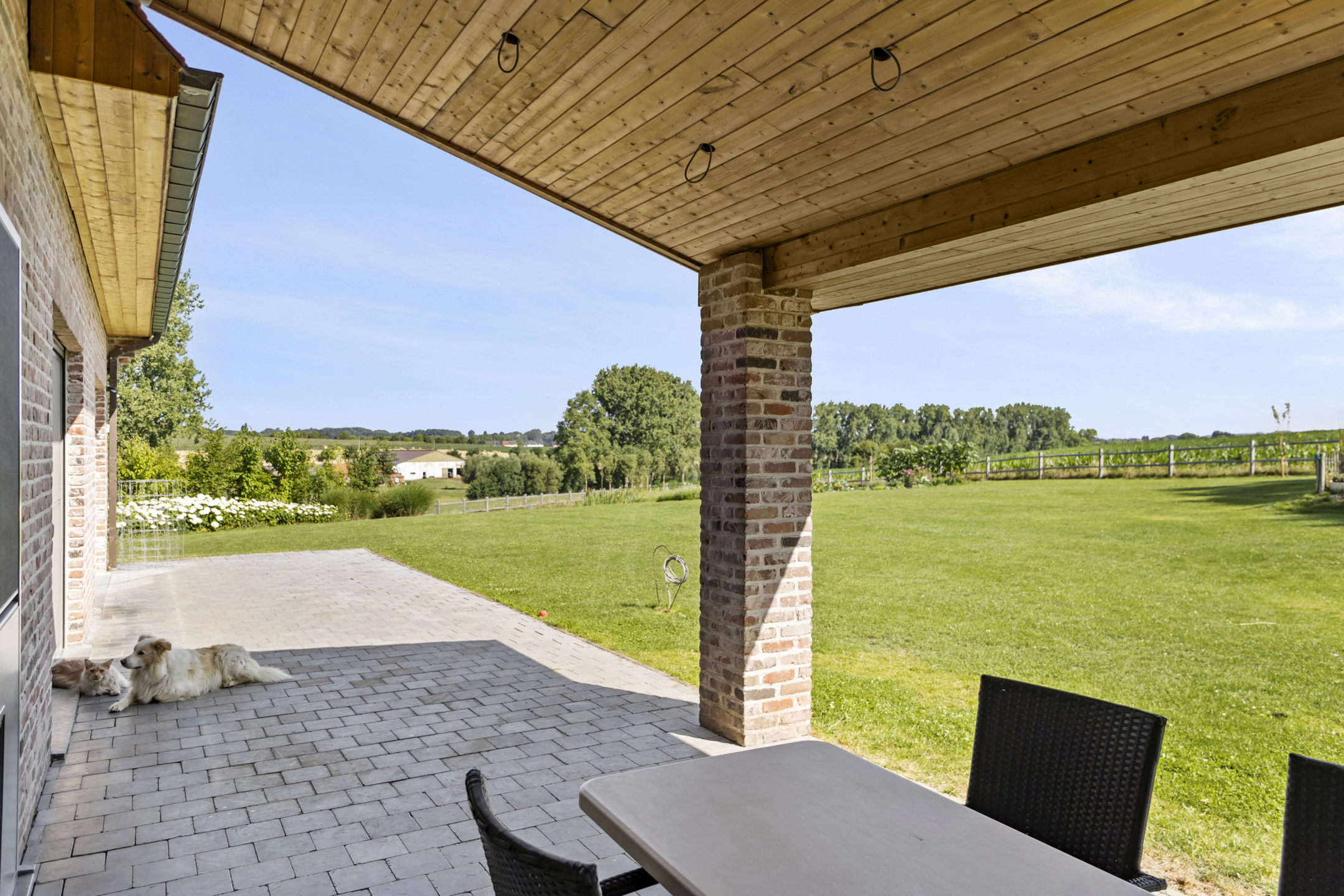 Maison à vendre à Brakel avec 6 chambres - photo 5