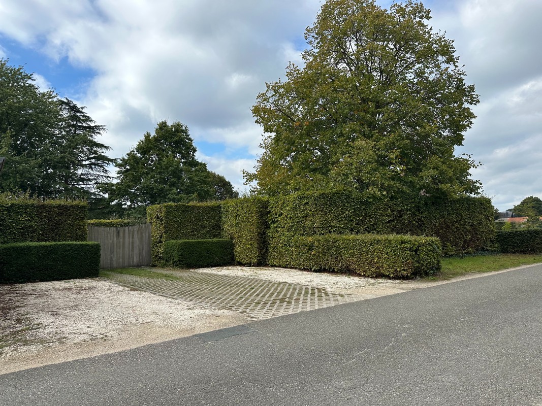 Prachtige ZW gerichte bouwgrond van 941 m² met volwassen tuin. - foto 1