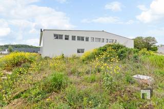 Commercial for sale in Diest