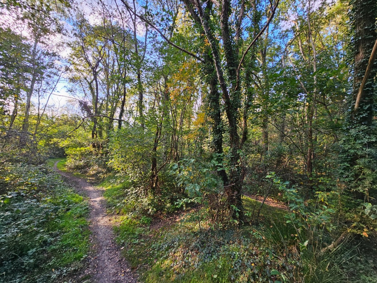 Land for sale in Rijmenam - photo 4