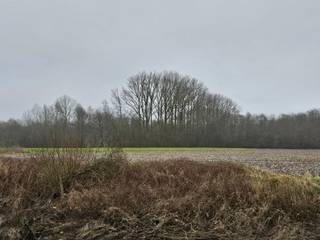 IN OPTIE !Samenvoegsel van verschillende percelen bosgrond met vijver. Kadastraal gekend als percelen bos (2), bouwland (3) en vijver.De gronden zijn...