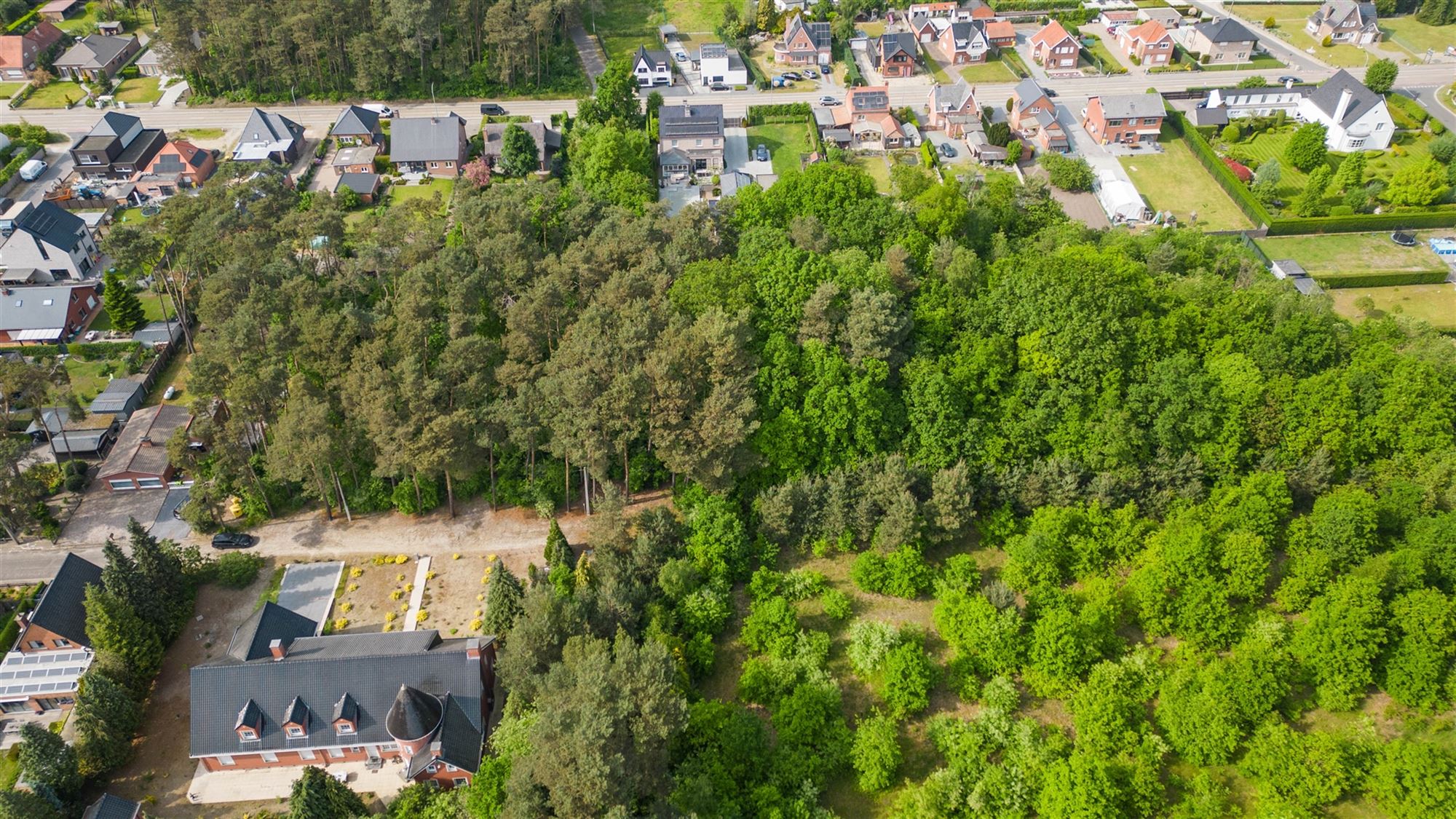 Bouwland (boszone) - foto 4