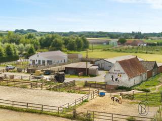 Deze paardenhoeve/manege is strategisch TOPgelegen qua visibiliteit en bereikbaarheid. Deze eigendom van meer dan 2 hectare bestaat uit en woonhuis, omheinde weides, piste, 20 paardenboxen.
Gekend als hoeve: ideaal voor dierenartsenpraktijk, paardenfokker, hovenier..