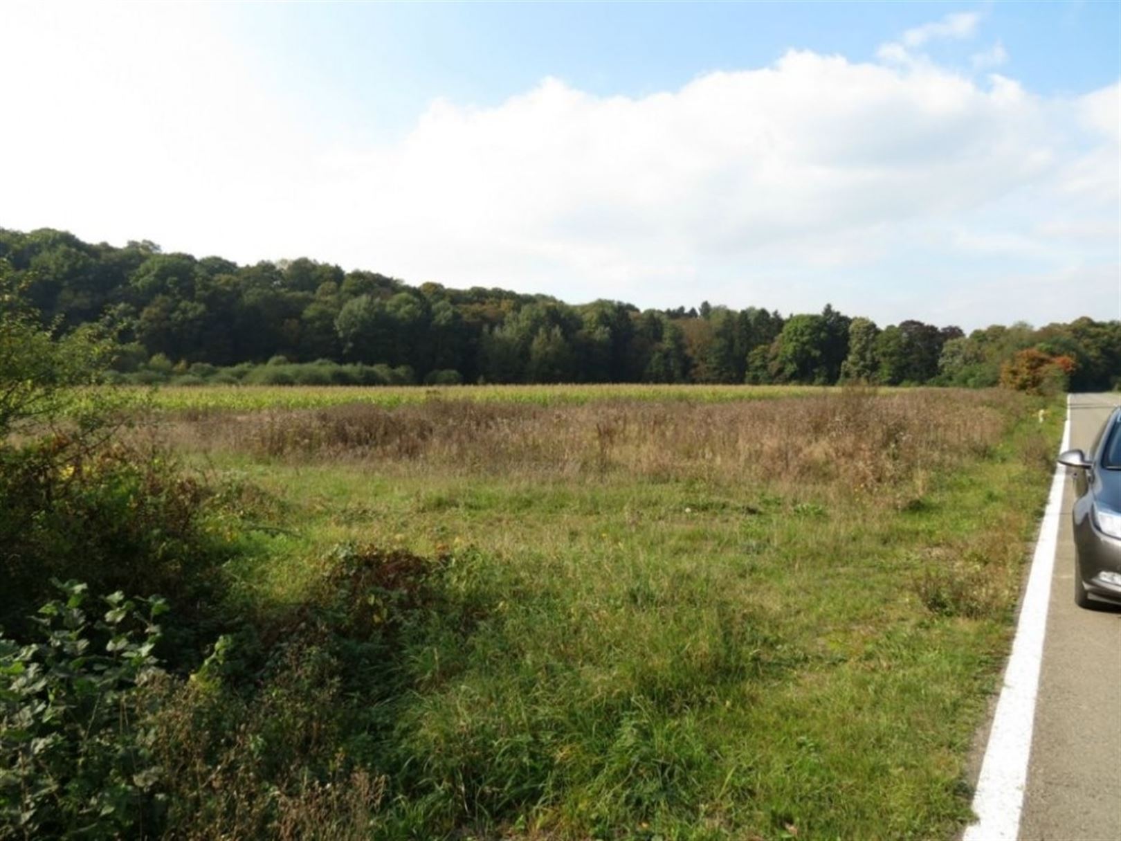 Villagrond Ardennen - foto 3