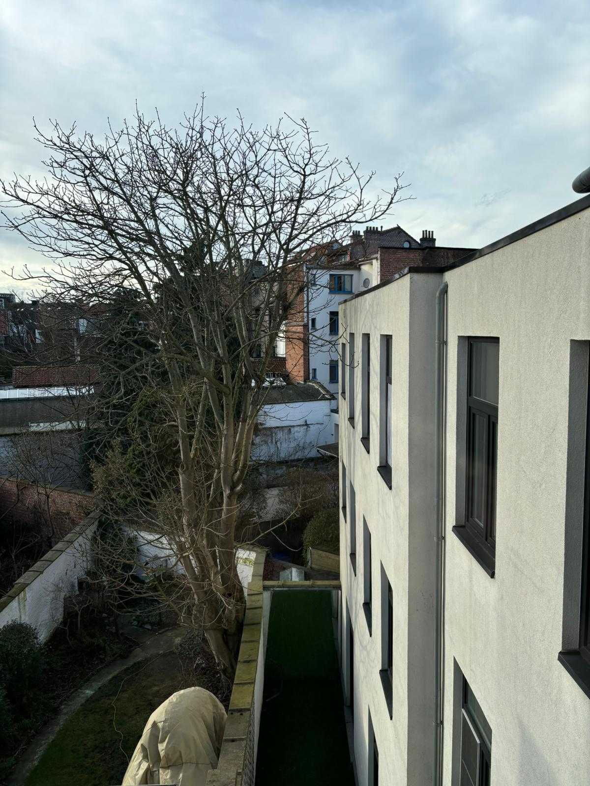 Appartement te koop in Antwerpen met 1 slaapkamer - foto 5