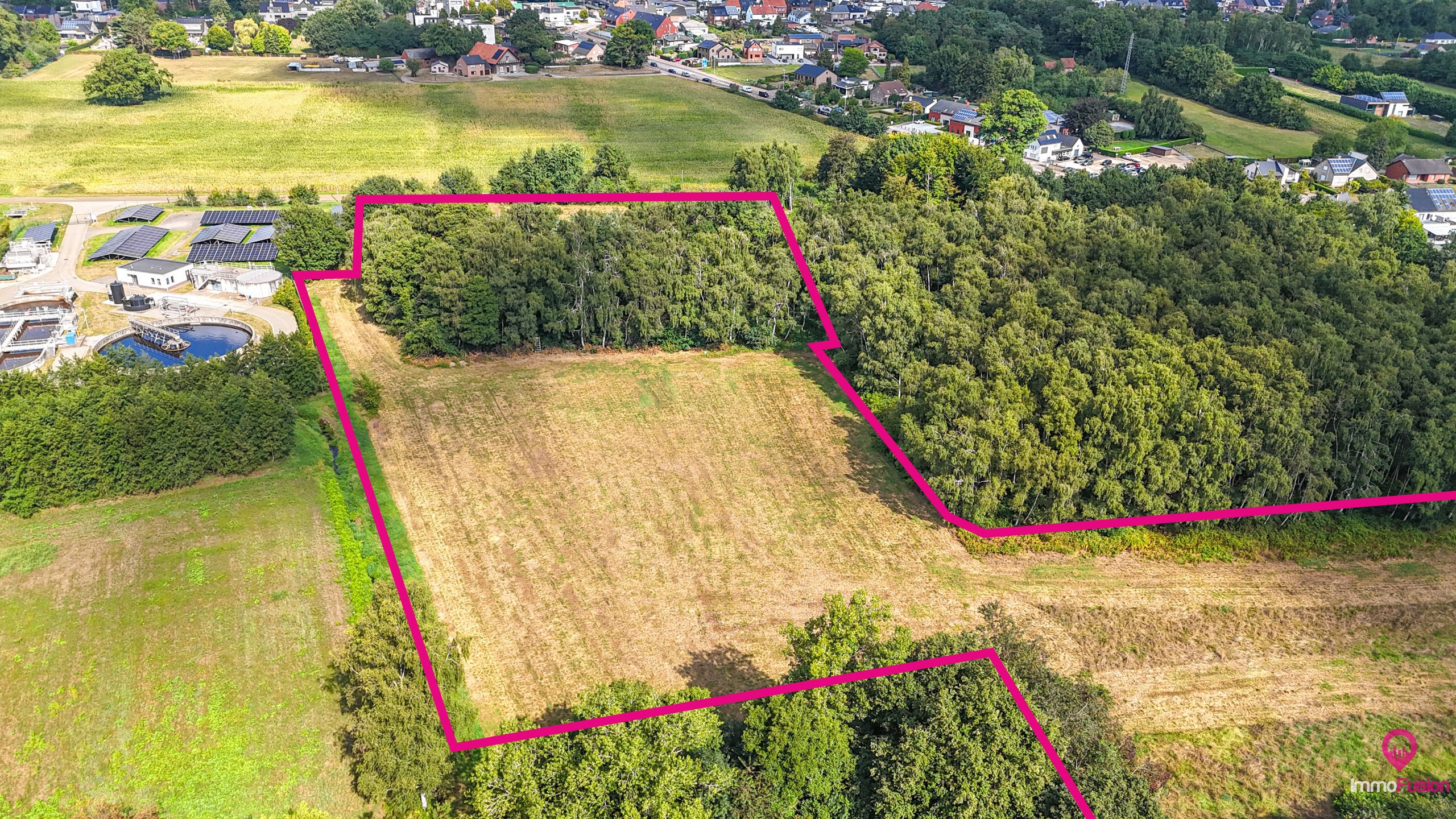 Uitgestrekt perceel van 3 hectare landbouw- of paardenweide! - foto 2