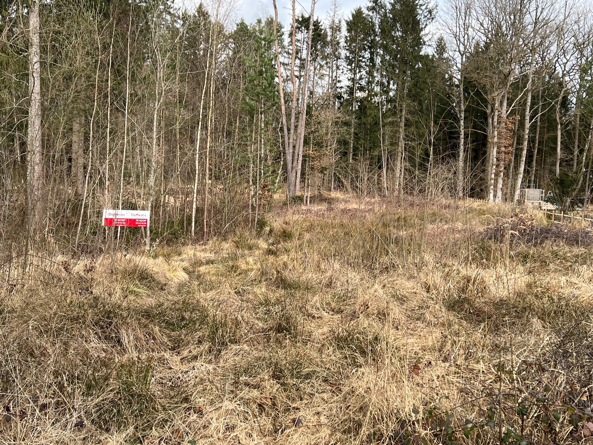 Land for sale in Érezée - photo 4