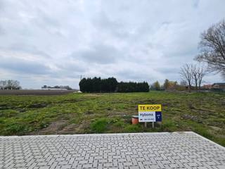 Ontdek deze bouwgrond in Handzame, deelgemeente van Kortemark. Je woont er nabij het centrum, in de buurt van winkels (supermarkt op 300 m), scholen (basisschool op 350 m) en openbaar vervoer (bushalte op 900 m). Dit perceel geniet van een weids uitzicht over de velden en weiden.

De grootte van dit villaperceel, 1.397 m² en de ruime stedenbouwkundige voorschriften (1 of 2 bouwlagen, vlak of hellend dak) bieden tal van mogelijkheden. Hier bouwen we jouw nieuwe, energiezuinige woning volledig op maat, tegen een vaste prijs.

Contacteer me gerust en ontdek alle mogelijkheden!