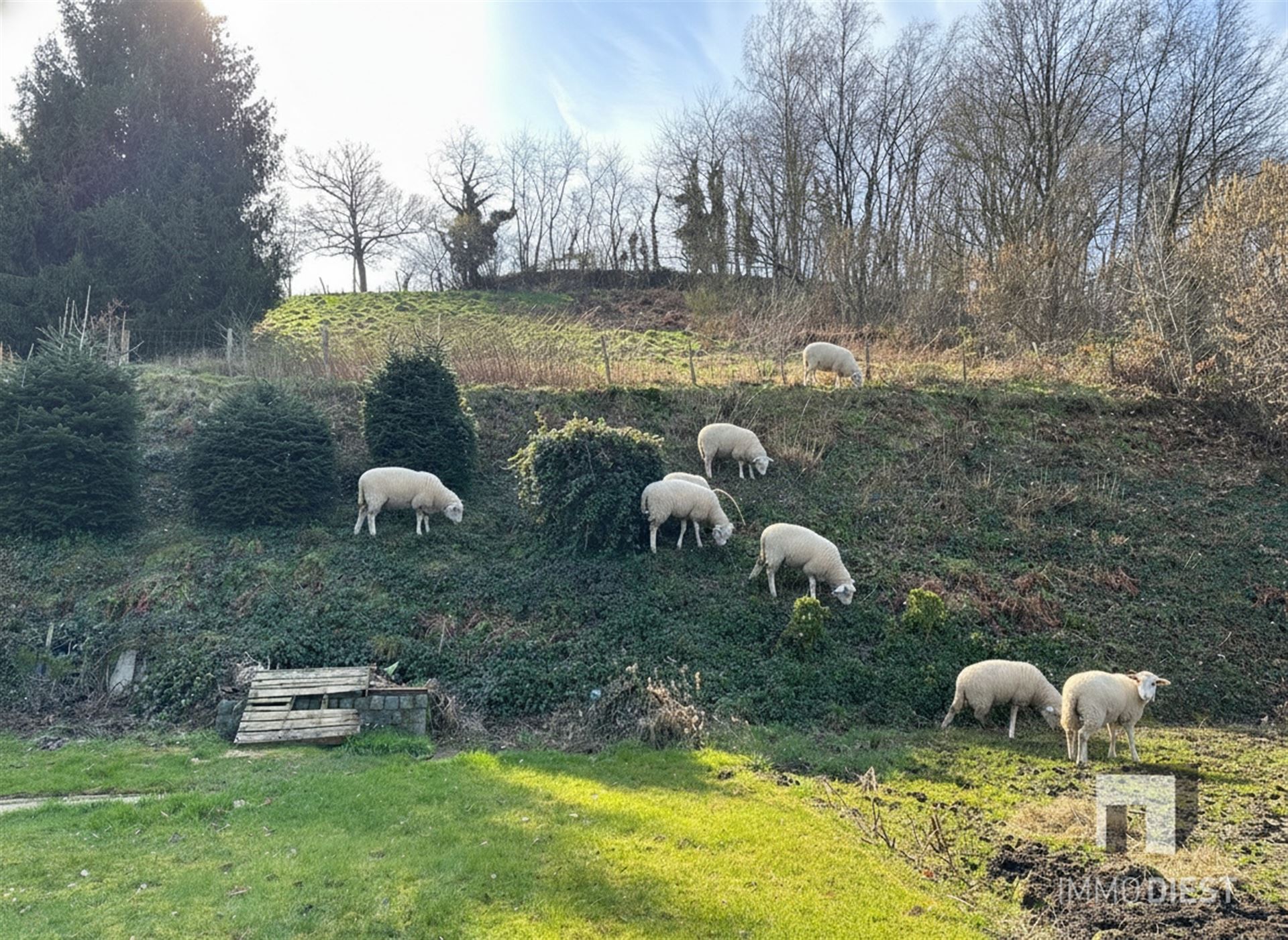 Maison à vendre à Diest - photo 4