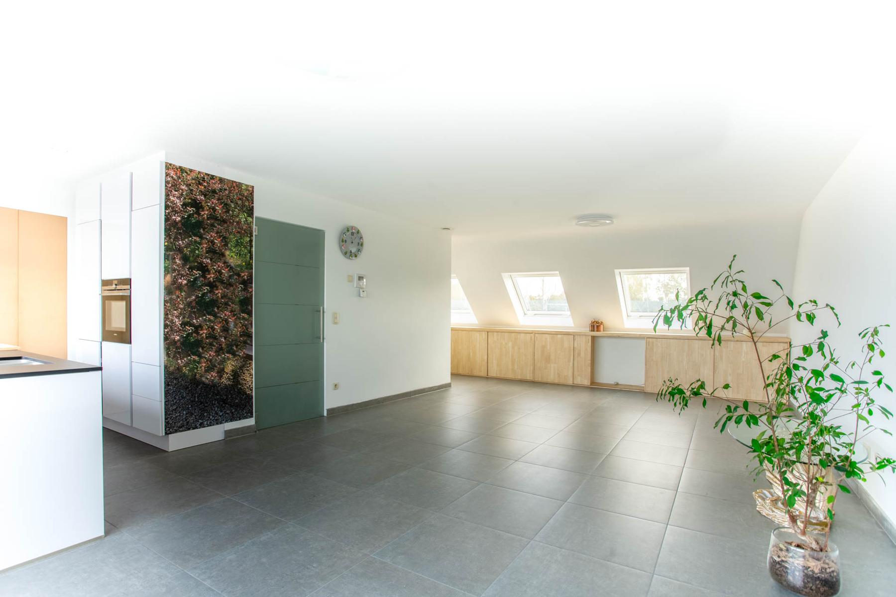 DAKAPPARTEMENT MET 2 SLAAPKAMERS EN TERRAS - foto 3