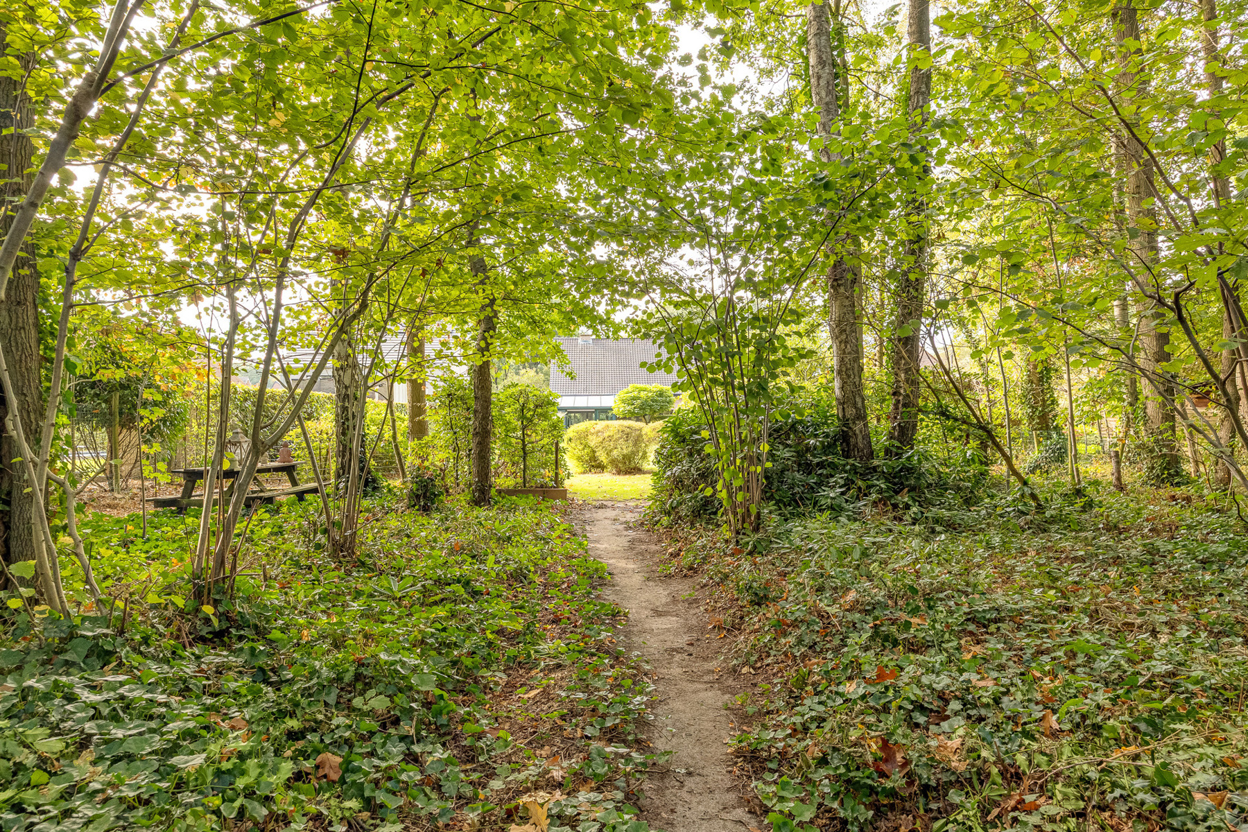 Rustig wonen aan de groene Halse bossen - foto 4