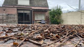 Maison à vendre à Nijlen