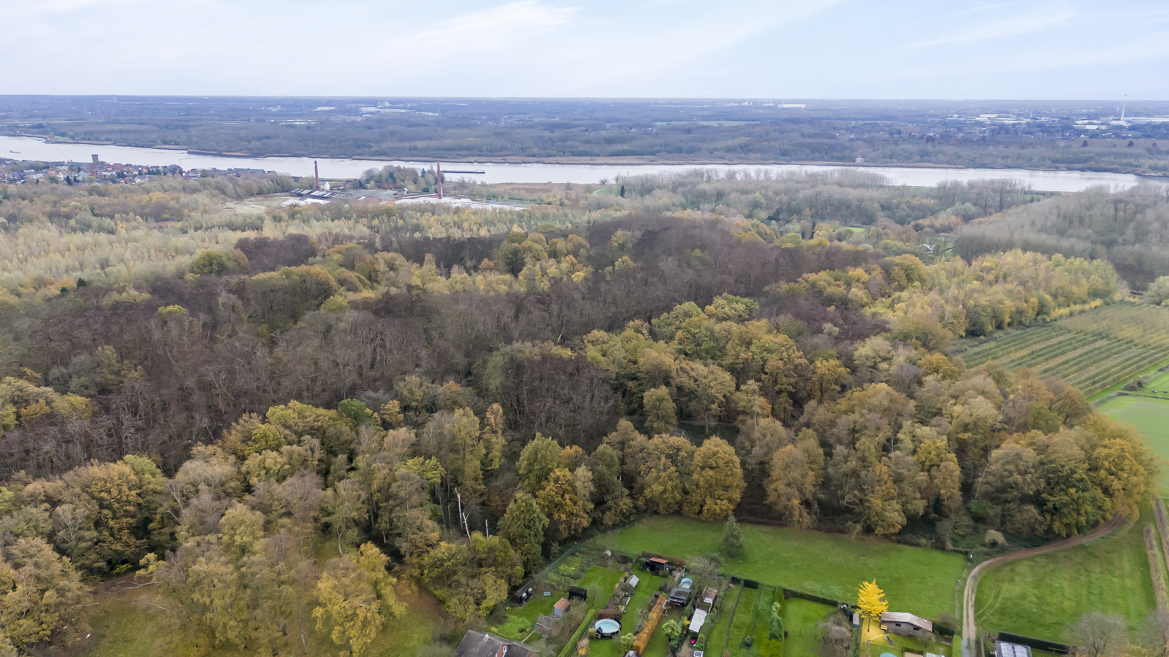 Open bungalow in Temse vlakbij natuurgebied - foto 4