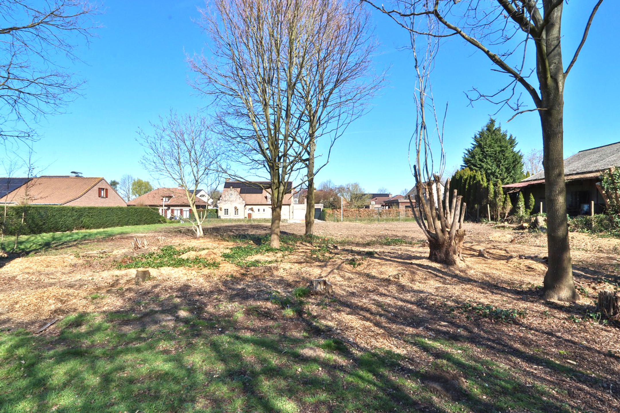 Bouwgrond voor HOB (482m²) op een TOP-ligging in Zwijndrecht - foto 5