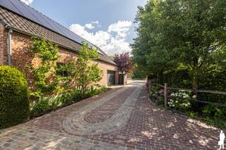 <strong>!! VERKOOP OP AANDELEN !! - Dit betekent dat de koper geen registratierechten betaalt, noch btw verschuldigd is -<br /><br />Riante en uiterst kwalitatief gerenoveerde hoevevilla (renovatie 2000-2002) nabij Postel op domein van 8.875 m² met 4 tot 6 slaapkamers, 3 badkamers, bureauruimte, eigen fitness en ruimte voor opslag en paardenstallingen. In de loods achteraan (ca. 180 m²) is een deel volledig ingericht voor het onderbrengen van paarden, pony's of andere weidedieren; een ander deel wordt momenteel gebruikt voor opslag. In de loods grenzend aan de woning (ca. 163 m²) bevindt zich nog bijkomende opslagruimte (bv. voor trailers). De ruimte is multifunctioneel en doet momenteel dienst als werkkamer en ingerichte fitnessruimte. De buitenstallen (met boxen, zadel- en verzorgingskamer) zijn voorzien van een aangrenzende graspaddock zodat dieren voldoende ruimte en bewegingsvrijheid hebben. De hoevevilla zelf is hoogwaardig afgewerkt en biedt een combinatie van wooncomfort, praktische voorzieningen (o.a. douchekamer in buitenhal, wellnessbadkamer boven, etc.) en enorm veel ruimte en lichtinval. Zij beschikt verder over een uiterst gunstige EPC-score van 175kWh/m²/jaar (label B).<br /></strong><strong><br /></strong><em>Indeling:</em><strong><br /><br /></strong><em>Gelijkvloerse verdieping:<br /></em><strong><br /></strong>Op het gelijkvloers bevindt zich een zeer ruime (ca. 60 m²) en lichtrijke woonkamer met zitgedeelte en eethoek. De aangrenzende, volledig uitgeruste keuken biedt dankzij de grote raampartijen een fraai en natuurlijk uitzicht op het tuingebeuren en de paardenstallen. Verder zijn er op deze verdieping twee afzondelrijke bureelruimtes voorzien, ideaal voor thuiswerk of administratie. Deze zijn eenvoudig om te vormen tot benedenslaapkamer, speelkamer en/of hobbyruimte, etc. Achteraan is een buitenhal/sas voorzien met gerieflijke douchekamer die uitkomt op de tuin met stallingen. Via de inkomhal met inbouwkasten (vestiaireruimte) vooraan heeft u toegang tot het gastentoilet en de bovenverdieping.<br /><br />Verder is er op deze verdieping een wasplaats en een kelderruimte. Het volledige gelijkvloers is uitgerust met comfortabele vloerverwarming.<br /><br /><em>Eerste verdieping:<br /></em><strong><br /></strong>Op het eerste verdiep bevindt zich een ruime hoofdslaapkamer met een uiterst kwaliteits- en sfeervol ingerichte ensuite badkamer. Deze badkamer is uitgerust met een bubbelbad, inloopdouche en infraroodspiegel, wat zorgt voor een heus wellnessgevoel. Daarnaast zijn er op deze verdieping bijkomend drie volwaardige slaapkamers, ideaal voor kinderen, logés of extra werk-/hobbyruimtes. Een tweede badkamer, eveneens hoogwaardig afgewerkt, bevindt zich in de nachthal en doet dienst voor de overige slaapvertrekken.<br /><br /><em>Garage:<br /></em><strong><br /></strong>Het eigendom beschikt over een groot garagegebouw met twee brede sectionale poorten. Deze ruimte is uitermate geschikt voor opslag of het stallen van rollend materieel, zoals landbouwvoertuigen of trailers. Op de bovenverdieping van het garagegebouw is er een volledig ingerichte fitnessruimte, ideaal voor wie graag thuis sport.<br /><br /><em>Stalgebouw en buitenruimte:<br /></em><strong><br /></strong>Het eigendom is bijzonder geschikt voor paardenliefhebbers. Het stalgebouw is voorzien van drie ruime boxen, elk uitgerust met automatische drinkbakken. Daarnaast is er een wasplaats , een grote opslagruimte voor voer of materiaal en een volledig uitgeruste zadelkamer. De paarden kunnen rechtstreeks naar de aanpalende, ruime weides, wat zorgt voor een optimale leefomgeving voor de dieren. De rondom gelegen weides zijn reeds afgemaakt met het oog op het houden van paarden.<br /><br /><strong>Aankoop van aandelen - koper betaalt geen registratierechten</strong>