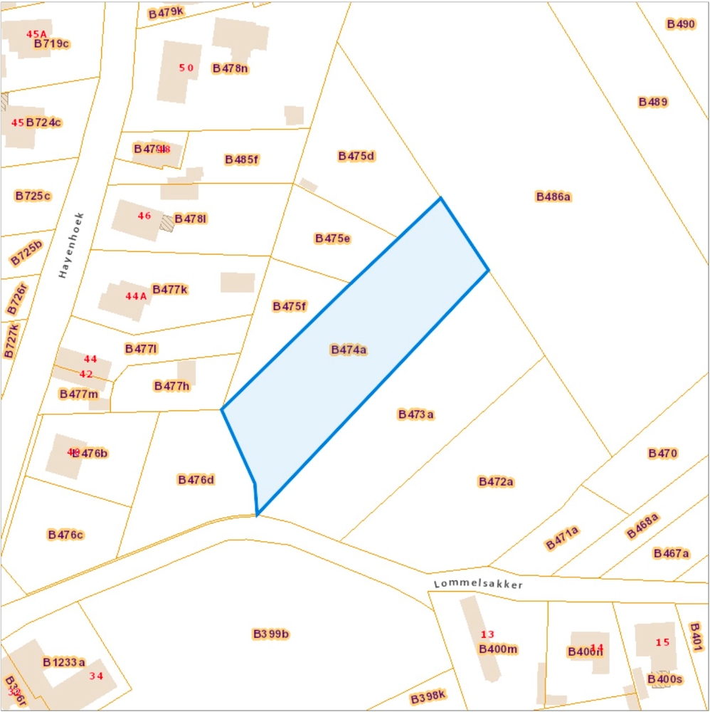 Unieke bouwkavel van 32a26ca met achterliggend weiland te Grote Heide - photo 2