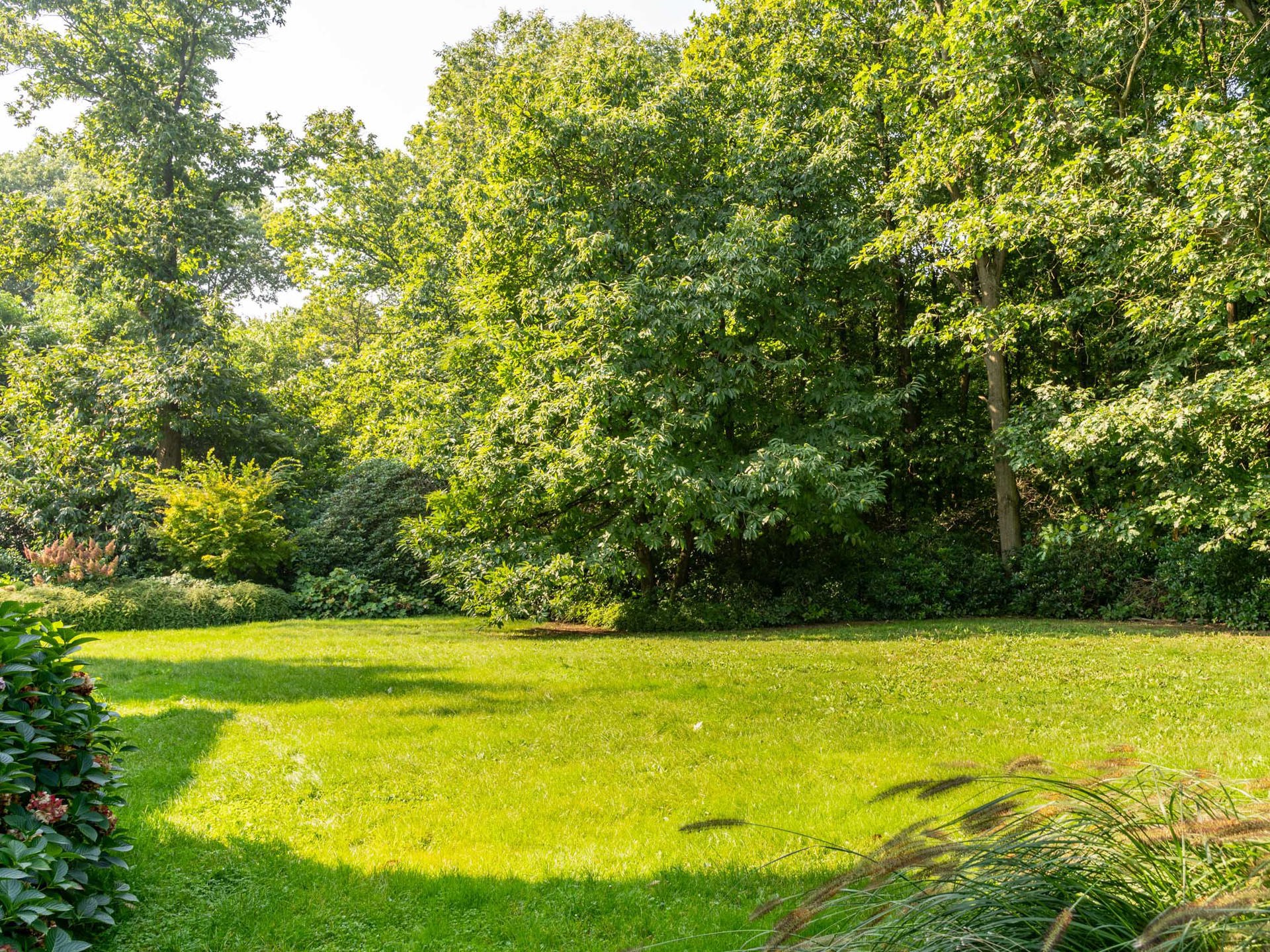 Waals-Brabant I Waver - foto 1