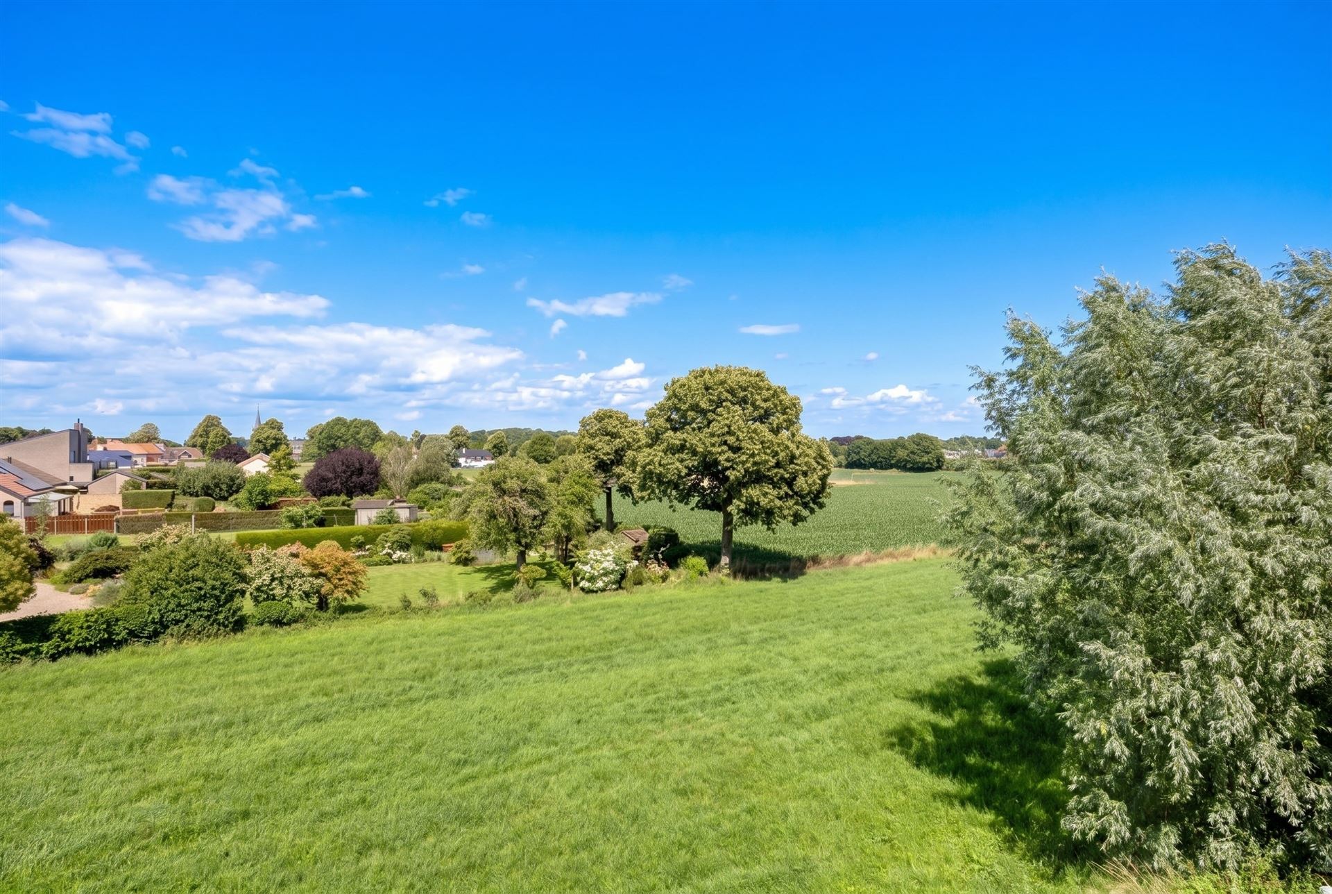 Instapklare villa met zwembad. Landelijke ligging in Leut. - foto 5