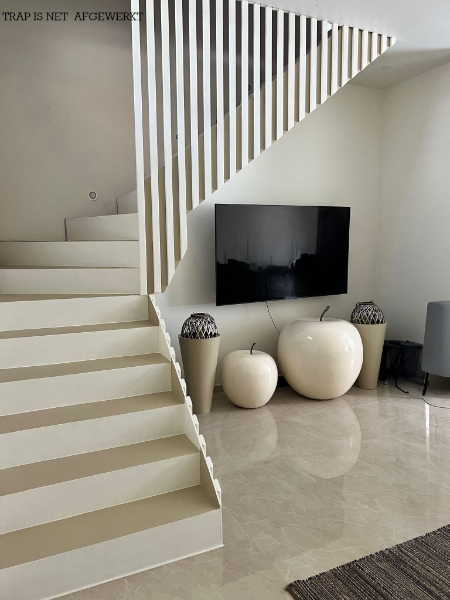 GERENOVEERDE INSTAPKLARE RUIME EIGENDOM MET GARAGE VOOR 2 WAGENS - photo 2