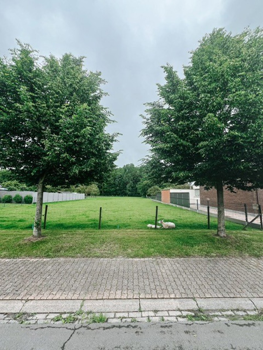 Uniek nieuwbouwproject op 1.500 m² grond met boszicht - foto 5