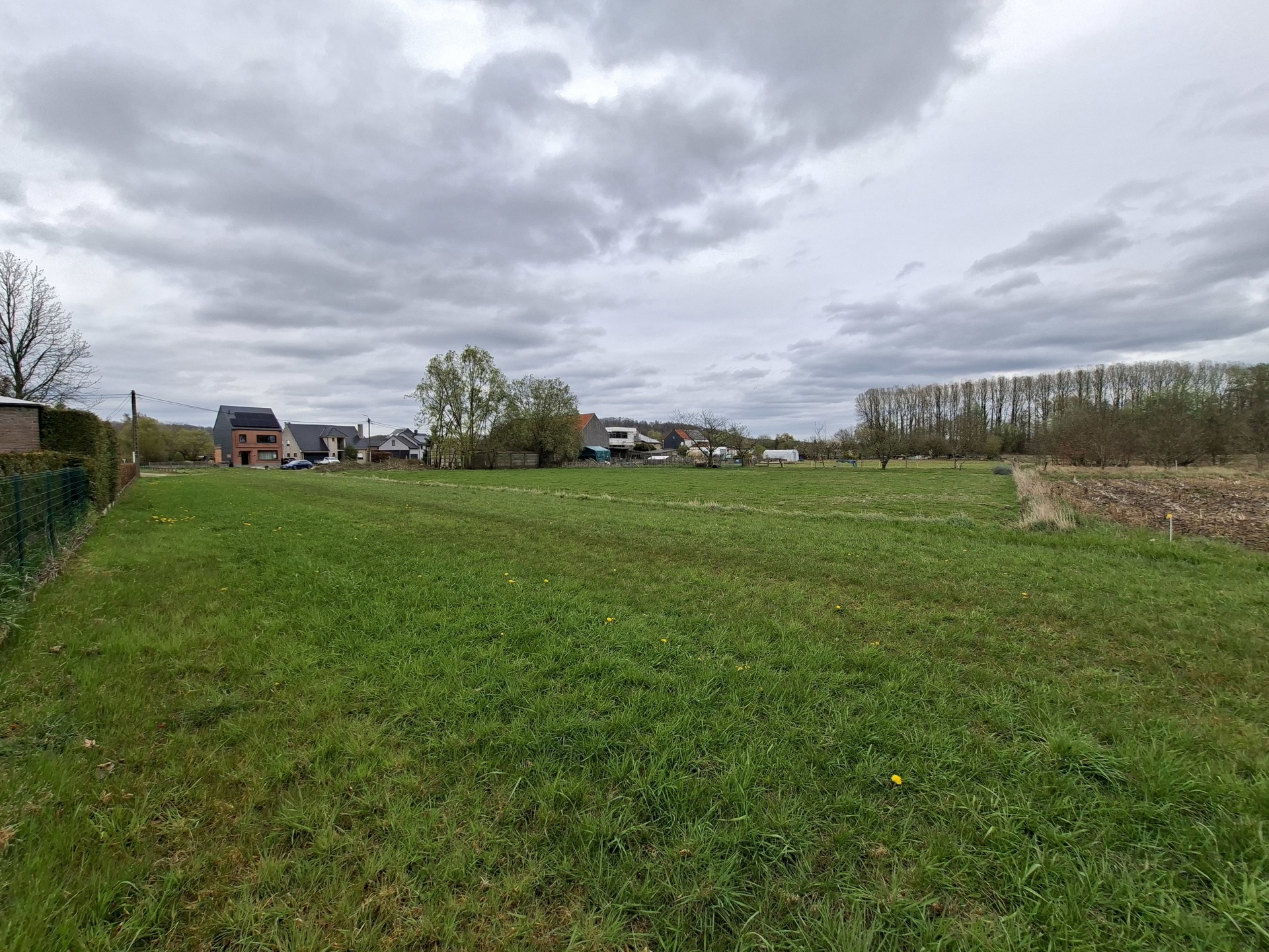 Bouwgrond van 26 are voor open bebouwing te Wezemaal - foto 3