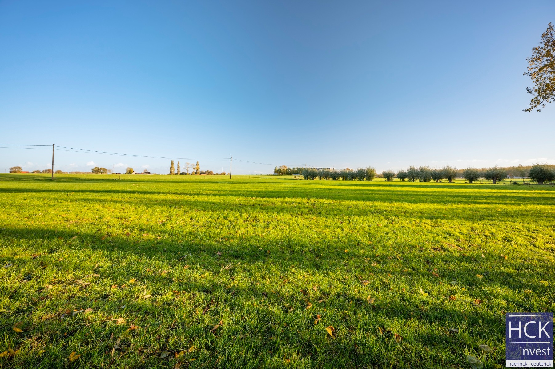 DEINZE - Mooi perceel landbouwgrond te Meigem 7250m² - foto 2