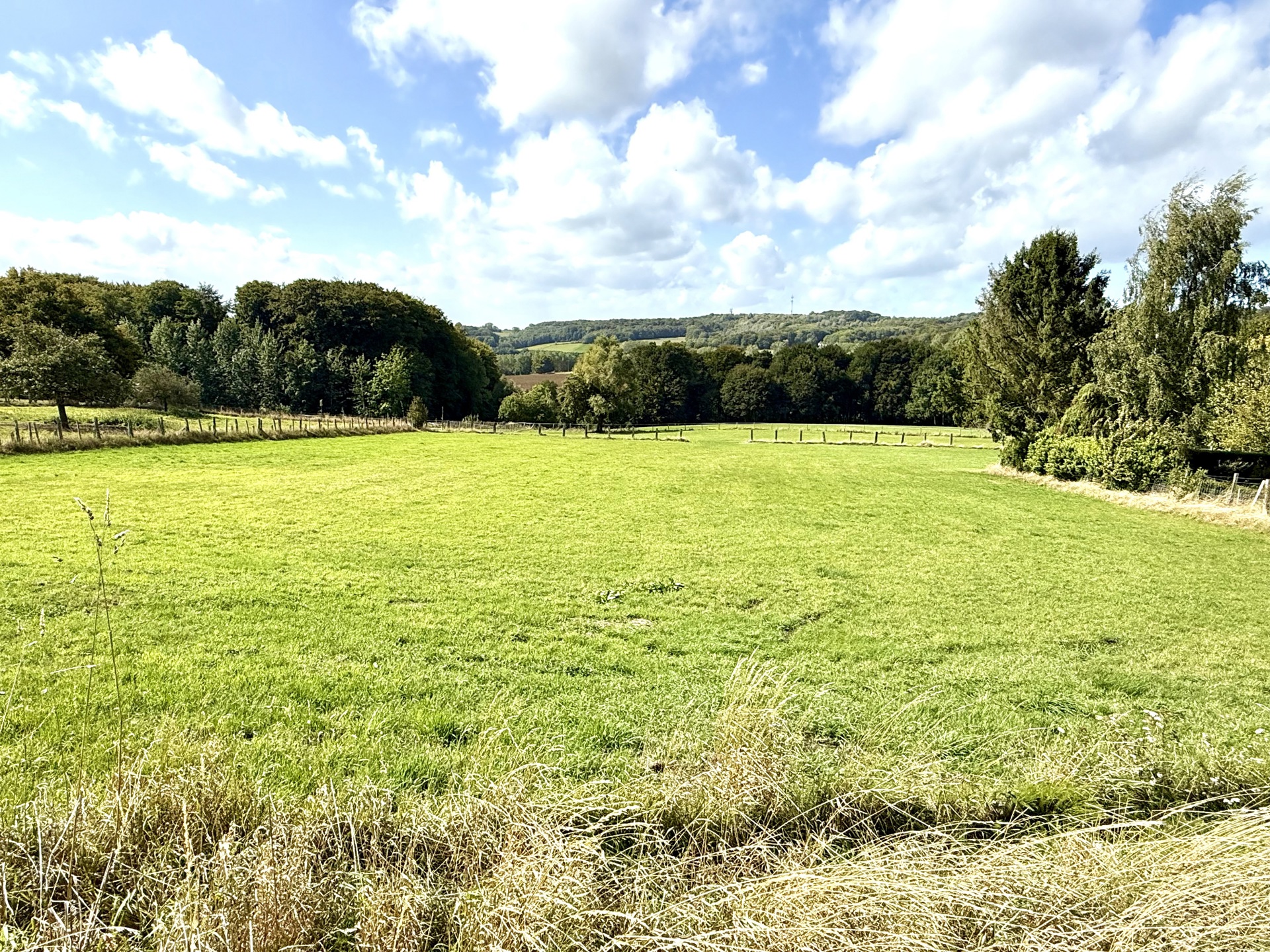 Bouwgrond van 5929m2 met een UNIEK ZICHT! - foto 1