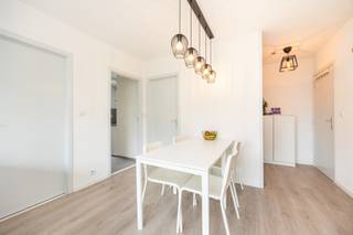 <strong>INSTAPKLAAR APPARTEMENT MET 1 SLAAPKAMER EN TERRAS GELEGEN OP TOPLOCATIE TE HASSELT (HOLLANDSVELD)</strong><br /><br />Dit instapklaar appartement gelegen op de tweede verdieping van residentie Strauss ligt rustig doch centraal op het Hollandsveld te Hasselt. Deze buurt ligt op 5 minuten wandelen van het centrum van Hasselt en is kindvriendelijk en residentieel te noemen. Openbaar vervoer, met bushalte voor de deur, winkels, scholen en sportinfrastructuur zijn bovendien vlakbij! De oprit van de E313 is vlot te bereiken op nog geen 5 minuten rijden van het appartement.<br /><br />Het 1-slaapkamer appartement heeft een bewoonbare oppervlakte van circa 48m² en werd recent gerenoveerd. Zo werden de keuken, de ramen (uitgerust met elektrisch rolluik in de slaapkamer en vliegenramen), de badkamer, de vloer, elektriciteit en de water/afvoerleidingen vernieuwd.<br /><br />De indeling van het appartement is praktisch en is als volgt ingedeeld: inkomhal, badkamer met inloopdouche, lavabo, toilet, een woon - en eetkamer, keuken, 1 ruime slaapkamer en een terras met zuid/west oriëntatie.<br />Verder zijn er 2 gemeenschappelijke fietsenstallingen aanwezig en kan men de auto altijd buiten kwijt op de gemeenschappelijke parking van het gebouw zelf. Bovendien hoort een berging bij het appartement.<br /><br />Het appartement ligt niet aan de straatzijde dus men heeft geen last van straatlawaaai.<br /><br />Dit is een appartement, perfect geschikt voor starters, alleenstaanden of koppels, maar ook voor investeerders die op zoek zijn naar een goed huurrendement.<br /><br /><br />Wenst u dit appartement graag te bezichtigen? Bel ons op 011 96 51 76 of mail ons op info@momentumvastgoed.be