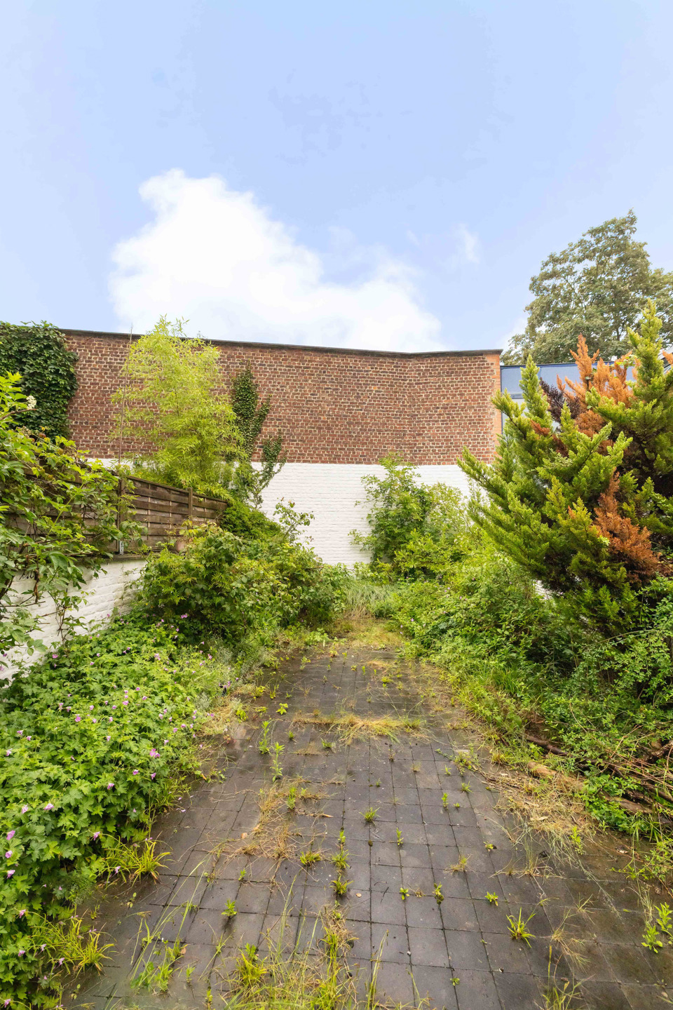 Karakteristiek huis – Gewilde wijk Le Châtelain - foto 4