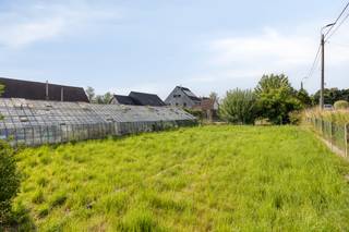 <p>Deze projectgrond in Huldenberg vormt een interessante ontwikkelingsmogelijkheid op een landelijke locatie tussen Waver en Leuven. Op het perceel staat momenteel een woning die bestemd is om te worden afgebroken, waardoor ruimte ontstaat voor een nieuwe residentiële invulling.</p><p>Voor het perceel werd reeds een voorontwerp met vier woonkavels voor halfopen bebouwing aan de gemeente voorgelegd. De gemeente heeft aangegeven dat deze configuratie in principe verder kan worden uitgewerkt, mits rekening wordt gehouden met enkele stedenbouwkundige voorwaarden en aanbevelingen. Daarbij werd onder meer feedback gegeven over de breedte en positionering van de toekomstige bouwzones en het behoud van bouwvrije zijstroken.</p><p>Deze voorafgaande feedback biedt een waardevol vertrekpunt voor de verdere ontwikkeling van het project. Er werd echter nog geen verkavelings- of omgevingsvergunning afgeleverd. De uiteindelijke indeling, bouwmogelijkheden en realisatie blijven afhankelijk van de opmaak en indiening van een volledig dossier en de formele beoordeling door de bevoegde instanties.</p><p>De landelijke omgeving is een belangrijke troef. De toekomstige woningen kunnen hier genieten van rust, groen en een aangenaam woonkarakter, zonder volledig afgelegen te liggen. De ligging is bijzonder geschikt voor gezinnen die landelijk willen wonen en toch vlot bereikbaar willen blijven.</p><p>Station Pécrot bevindt zich in de nabije omgeving en zorgt voor een goede verbinding met onder meer Waver en Leuven. Ook met de wagen zijn beide steden en de omliggende gemeenten vlot bereikbaar. Scholen, winkels en andere dagelijkse voorzieningen bevinden zich op bereikbare afstand.</p><p>Deze projectgrond in Huldenberg biedt dan ook een interessante basis voor de ontwikkeling van vier halfopen woningen op een goed verbonden, landelijke locatie. Neem contact op voor meer informatie over het voorontwerp en de beschikbare stedenbouwkundige feedback.</p>