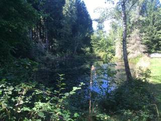 In midden van het groen gelegen weilanden, bos, 3 vijvers en te renoveren chalet (ca 40m), op een perceel van meer dan 5ha.Dit is de plaats voor...