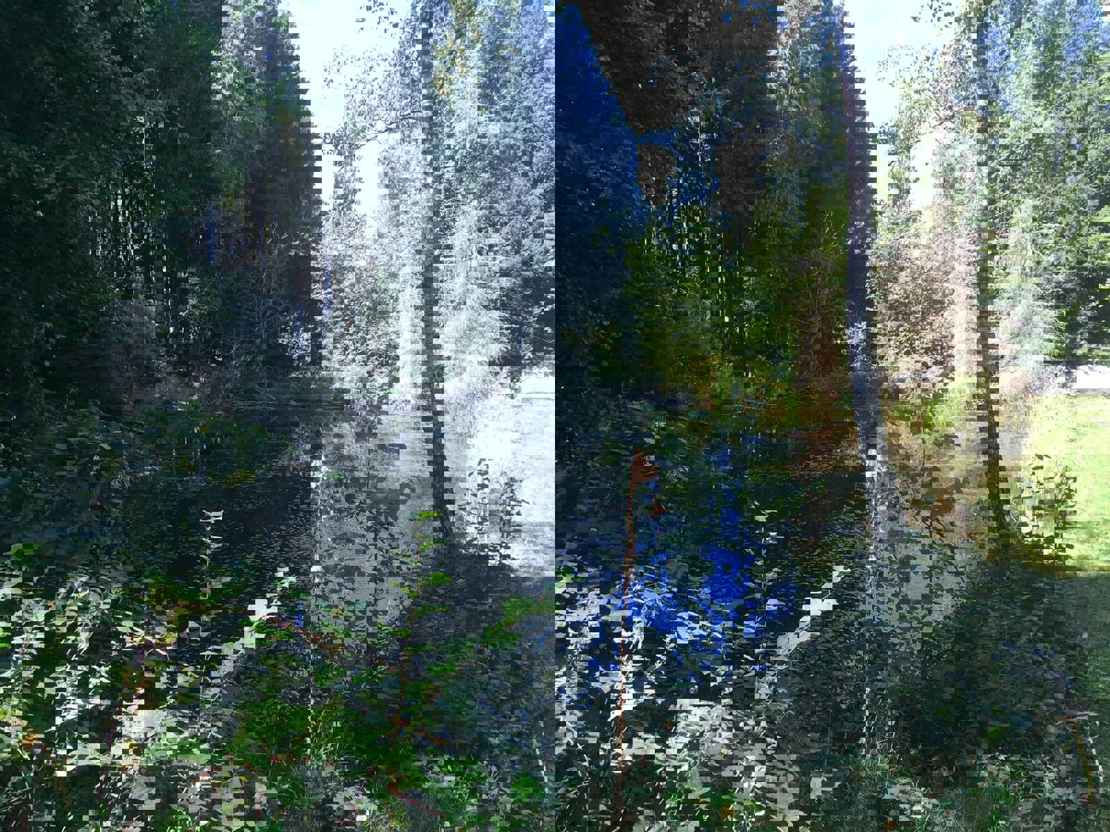 Huis te koop in Vielsalm - foto 2