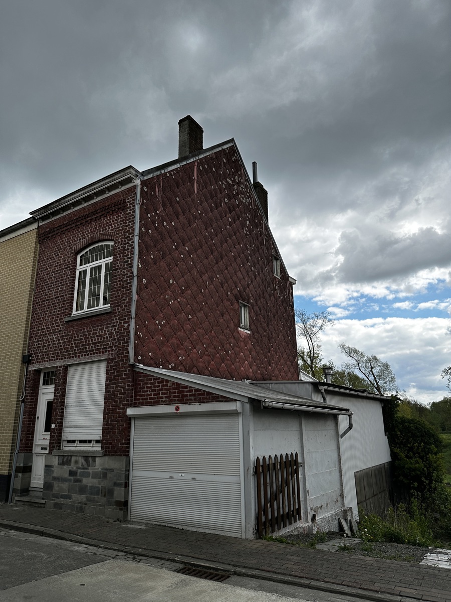 RENOVATIEWONING MET GARAGE EN TUIN - foto 4