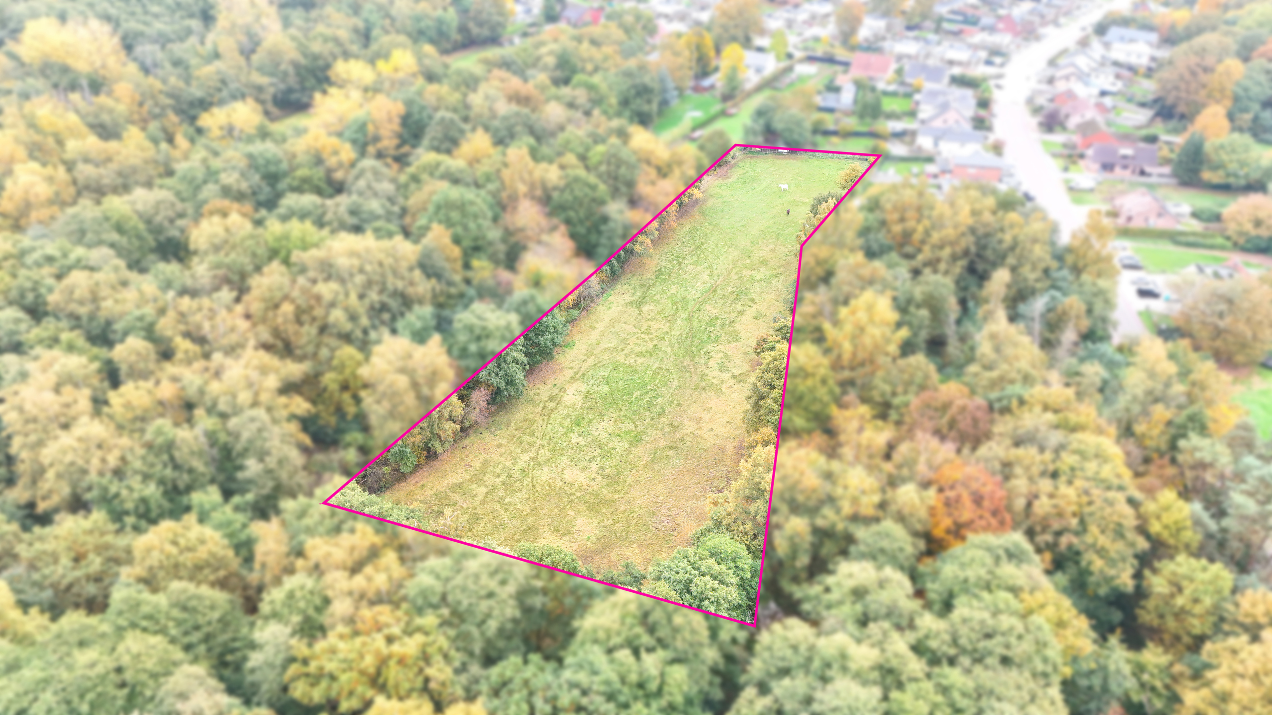 Land for sale in Heusden-Zolder - photo 5