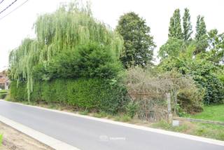 VALIMMAS verkoopt dit mooi, rustig en landelijk gelegen perceel grond in woongebied.
Oppervlakte ± 12 are 40 ca. Breedte vooraan ± 22,80m.
Net gelegen binnen een goedgekeurde verkaveling noch BPA.
Volgens eerder verkregen info van de Gemeente Dilbeek (deze info is louter informatief en niet bindend, en wordt dus volledig onder voorbehoud als enige leidraad meegegeven. Het is aan de toekomstige kopers om een geldige stedenbouwkundige vergunning te bekomen alvorens bouwproject kan opgestart worden):
- enkel ééngezinswoning in open bebouwing mogelijk;
- bouwvrije stroken: minimaal 4,50m links (= zijnde 6m tot de woning links) en minimaal 3m rechts;
- de maximale bouwbreedte zou dan gemiddeld ± 14,5m bedragen;
- maximale bouwdiepte: tot 15m op het gelijkvloers en tot 12m op de verdieping;
- kroonlijsthoogte 6,00 à 6,50m => gelijkvloers + verdieping + dakverdieping;
Agrarisch gebied vooraan én achteraan = open zichten !
Rustig en landelijk gelegen nabij de grens met Groot-Bijgaarden, met goede verbindingen naar Ring 0 en Brussel.