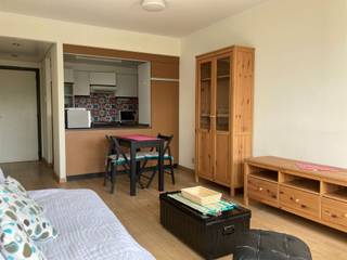 Mooi gemeubeld appartement/studio op de 8ste verdieping. Inkomhal met vestiaire hoek en apart toilet. Prachtige lichtrijk living met open keuken...